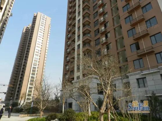 石家庄阿尔卡迪亚房价