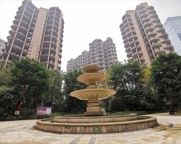 泸州绿韵2025最新价格