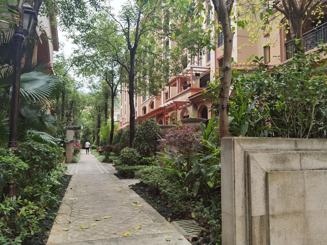 樟木头绿茵豪庭二手房