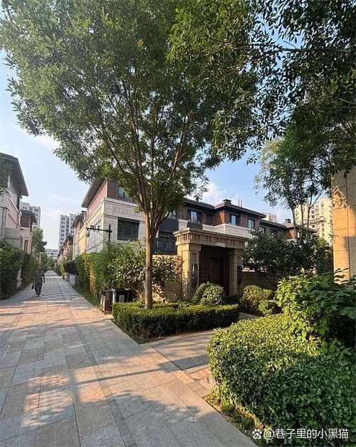 奥林匹克花园三期房价