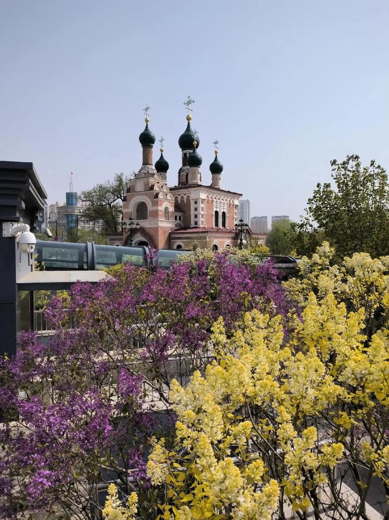 哈尔滨站北广场最新进展