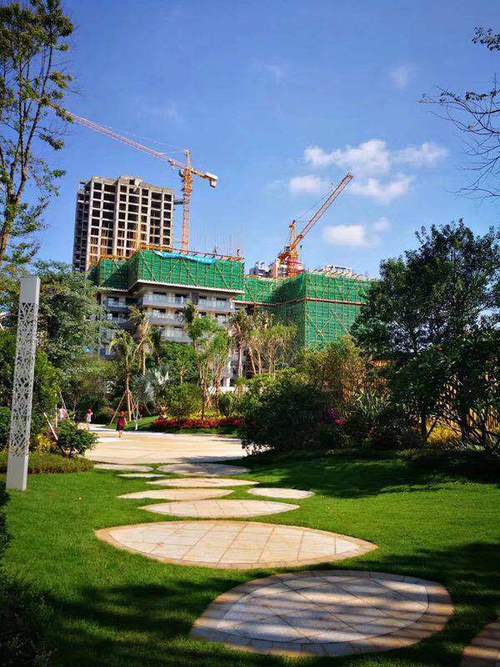 金地海南自在城最新消息