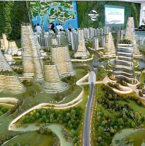 碧桂园森林城市最新消息