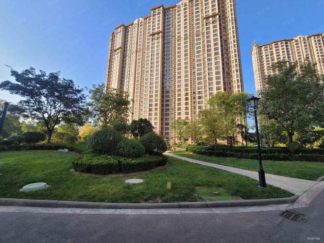 青岛中南世纪城最新房价