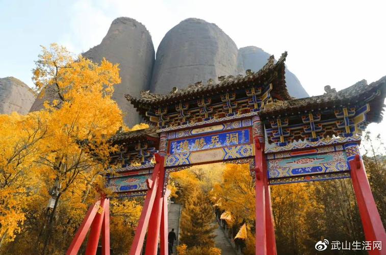 甘肃武山房价现在多少