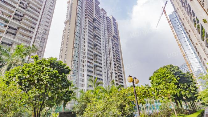 猎德花园房价为什么低