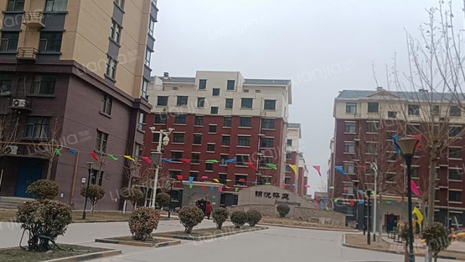 石家庄锦悦桦庭最新动向