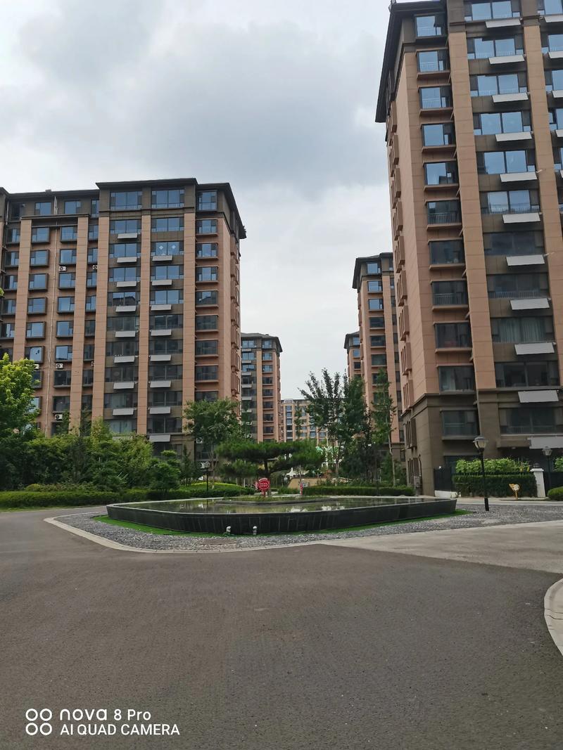 东洲家园自住房最新消息