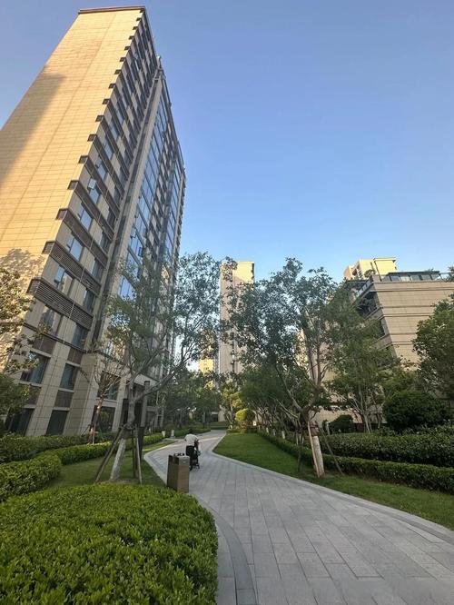 东洲家园自住房最新消息