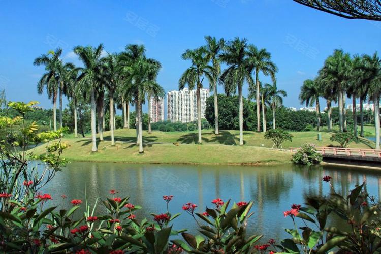 惠州恒大棕榈岛最新房价