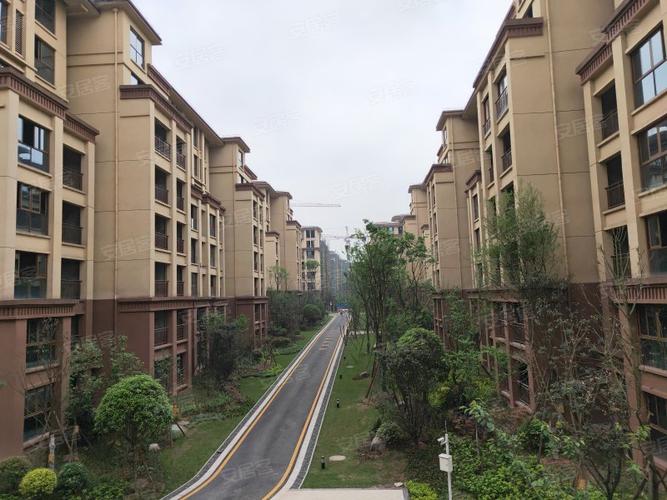 泸州翡翠城最新消息新闻