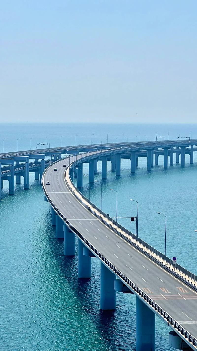 大连湾跨海大桥最新消息