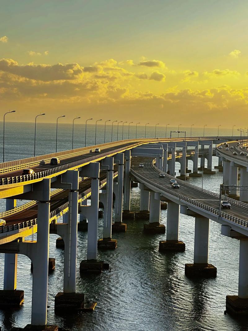 大连湾跨海大桥最新消息