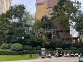 南阳常绿大溪地房价