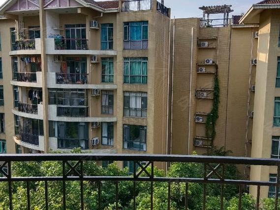 新塘新世界花园二手房