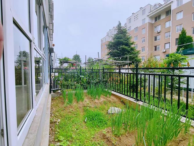 威海一楼带小院二手房