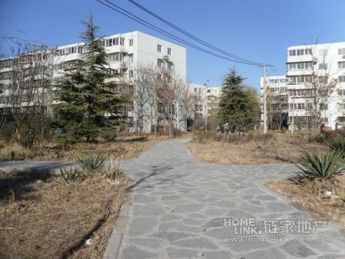 新安里二手房价最新