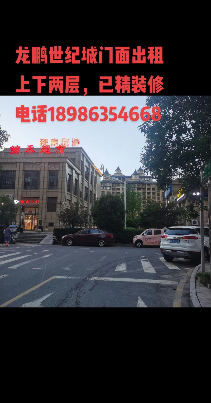 南漳龙鹏世纪城房价