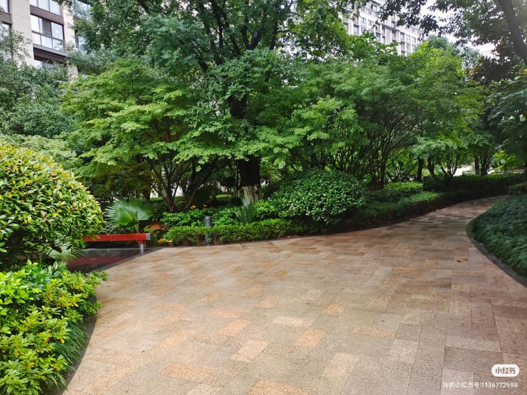 苏州仁恒棠悦湾房价