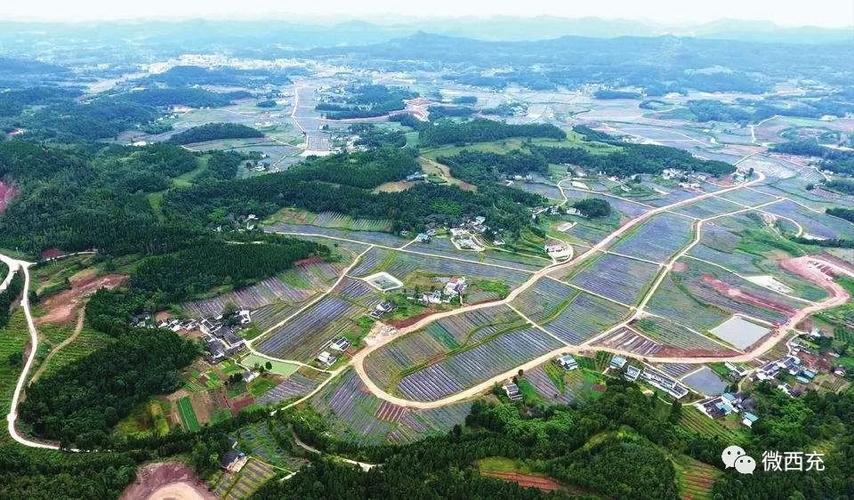 四川省西充县最新消息