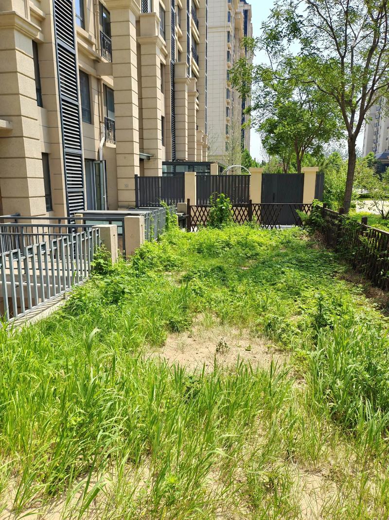 南京一楼带院子二手房