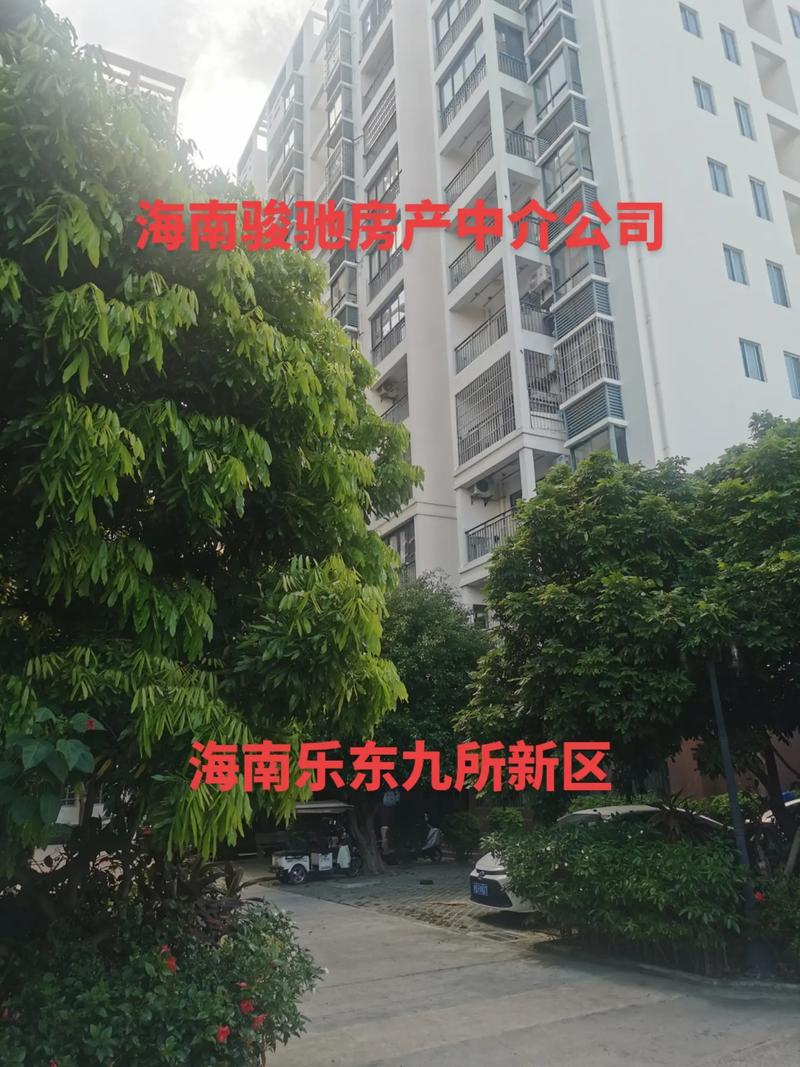 乐东九所房价最新消息