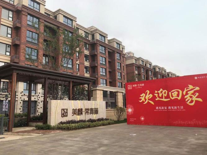 连云港常青藤最新消息