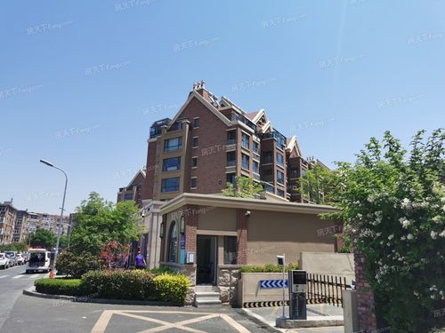 连云港常青藤最新消息