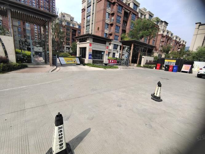 连云港常青藤最新消息