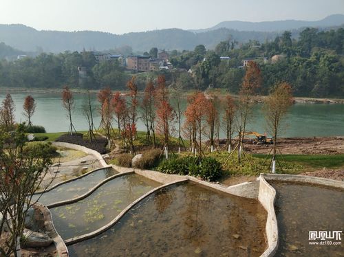 达州市柳家坝最新消息