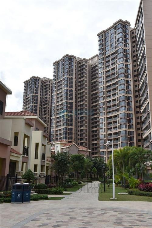 水榭丹堤三期最新消息