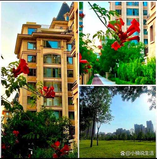 天朗美域三期最新消息