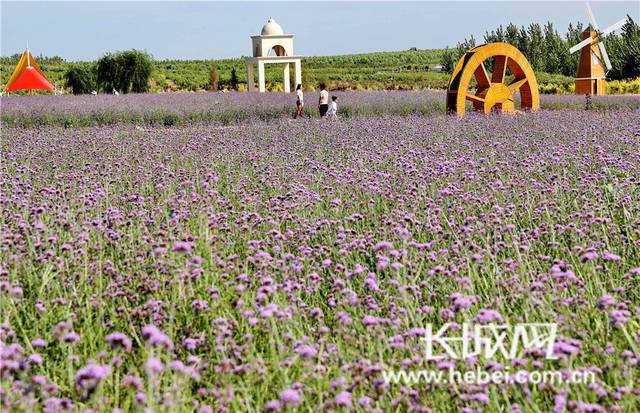 秦皇岛慕义寨最新进展