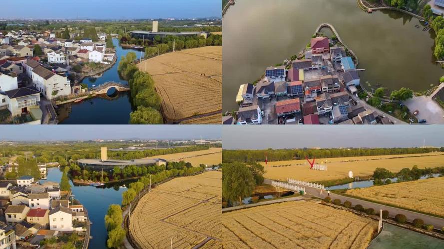 江宁湖熟周岗最新消息