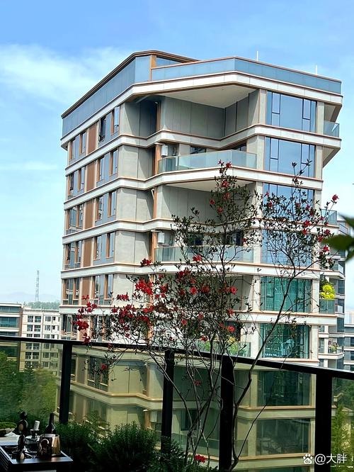 锦悦桦庭最新消息视频