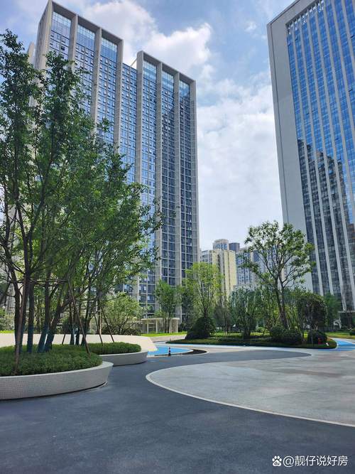 成都金科天宸最新消息