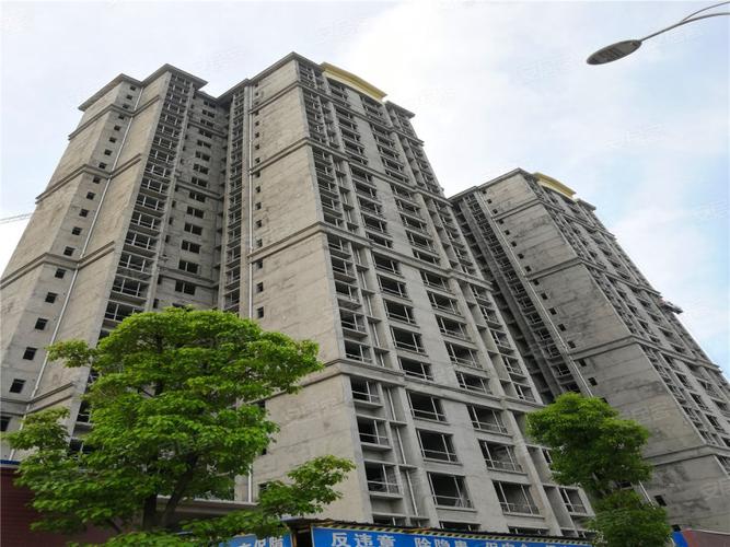 临澧第一书香最新消息