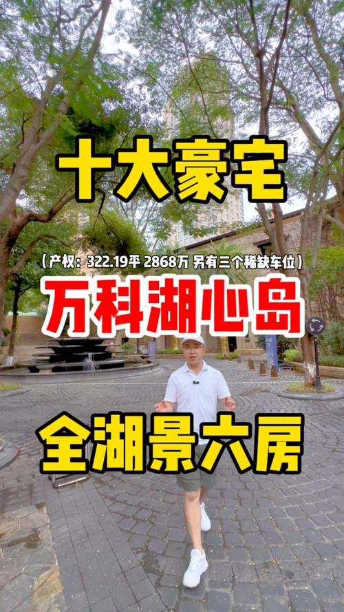 厦门万科湖心岛房价