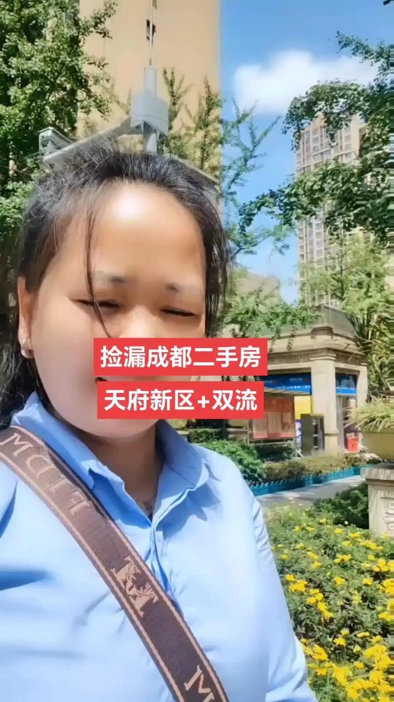 成都买二手房怎么样