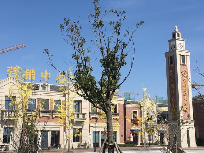 安新县大爱城最新房价