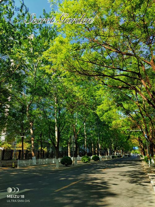 林荫春天二期最新消息