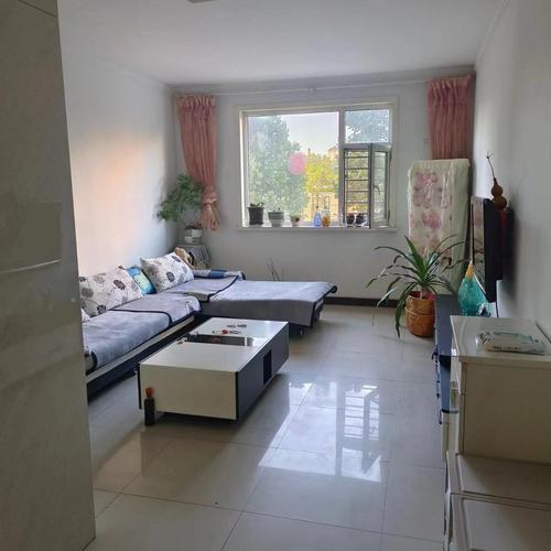 保定租房一室一厅最新