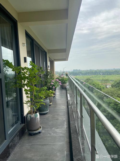 鹭湖宫全景舱最新消息