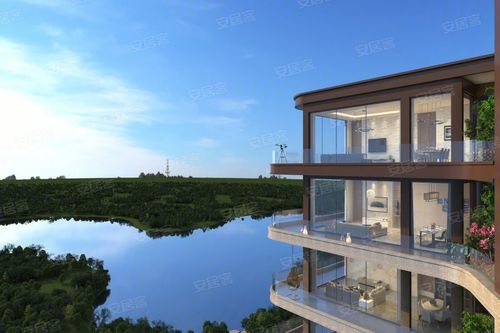 鹭湖宫全景舱最新消息