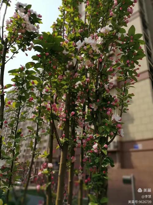 悦城美丽提香最新消息