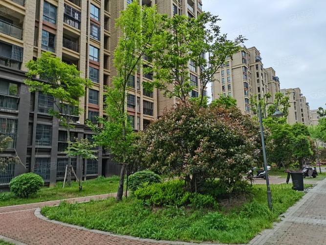 安庆西湖绿洲城房价