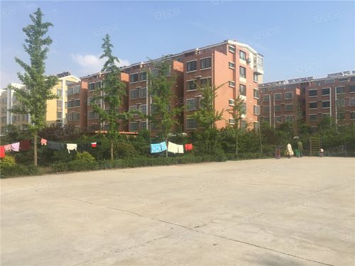 招远金娃小区二手房