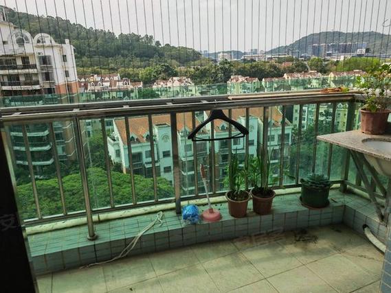 深圳宝安桃源居房价