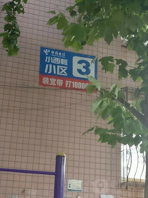 石家庄小西帐最新消息