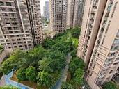 鲁能九龙花园最新消息